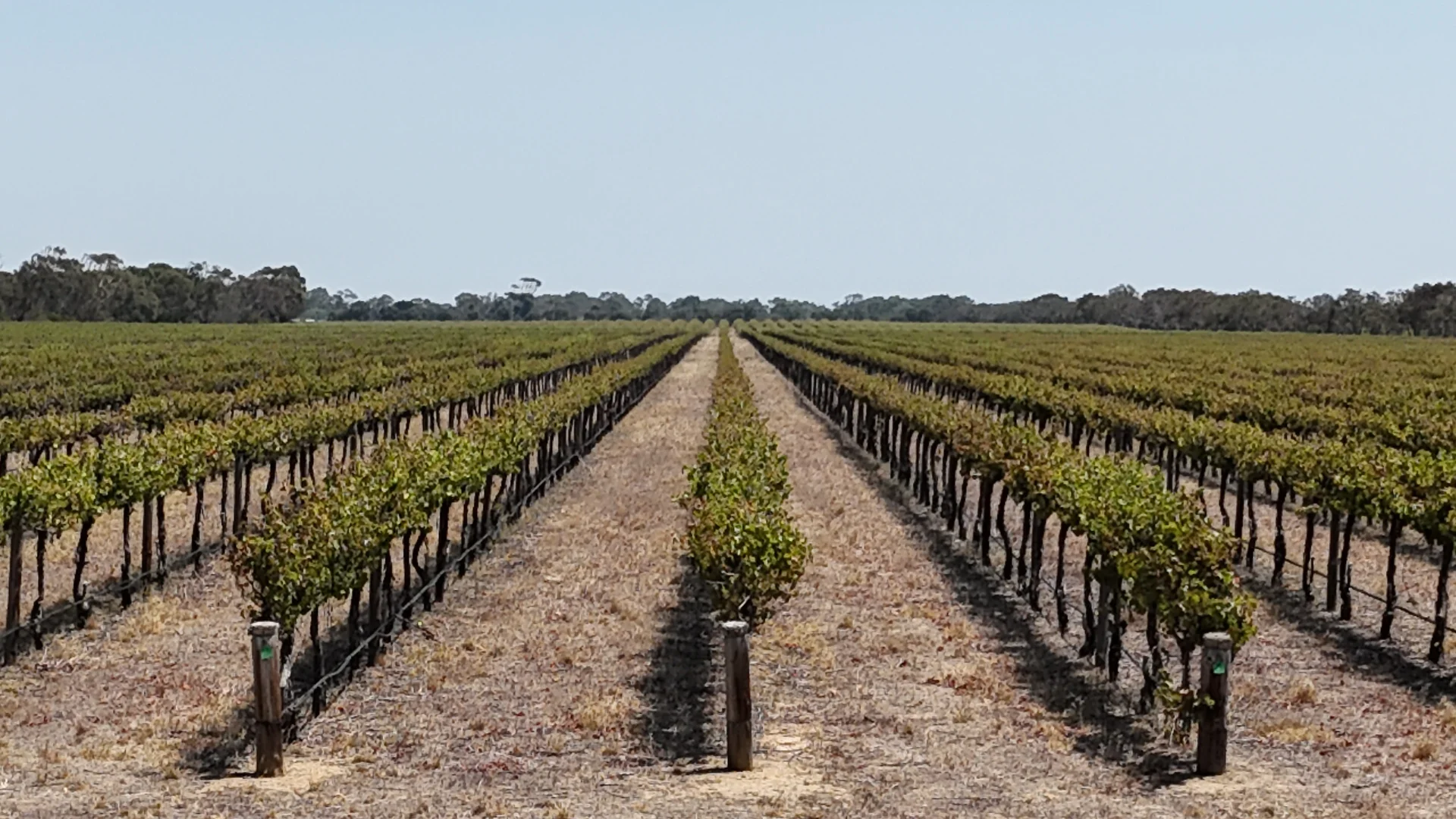 Image 15