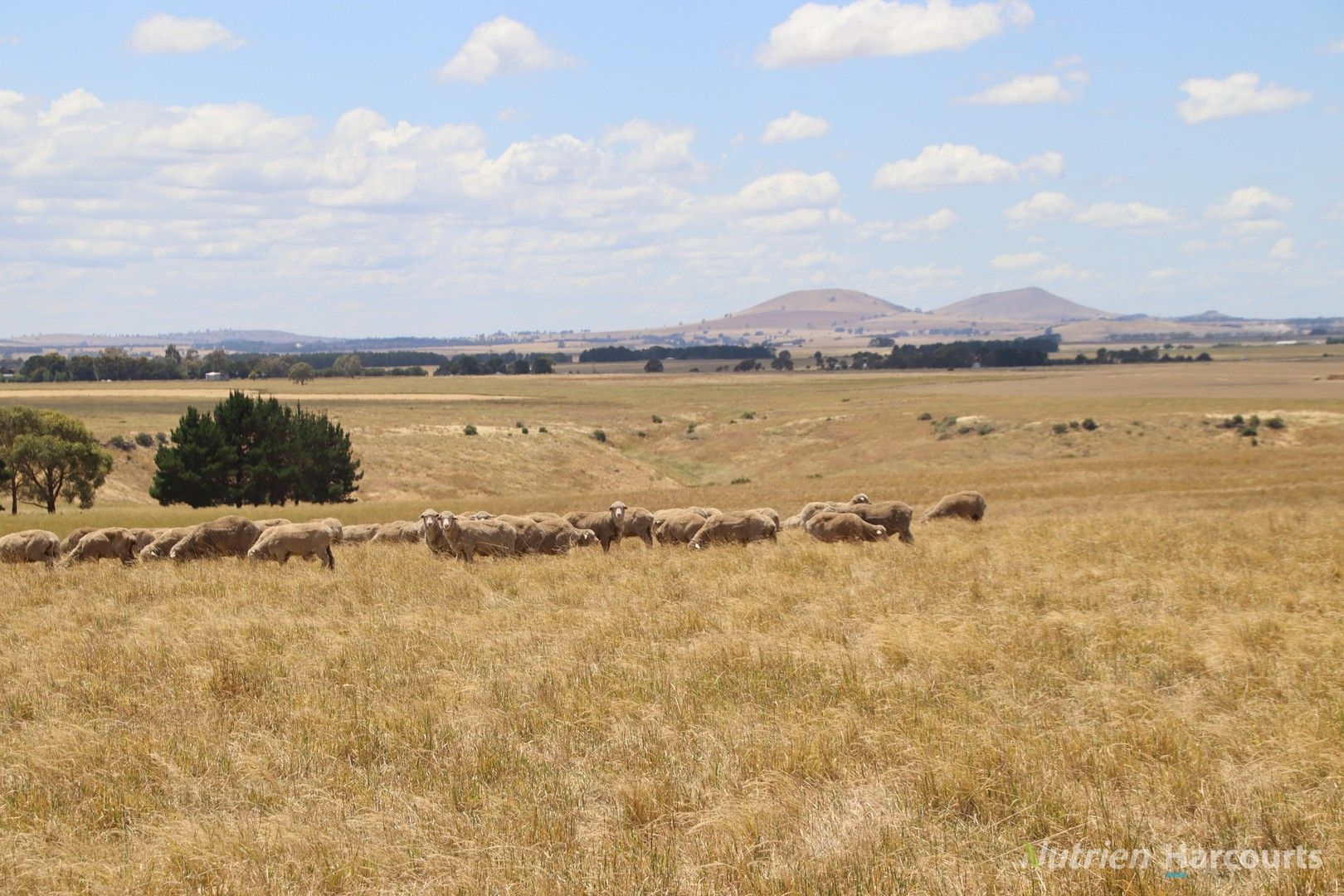 3100 Ballarat-Maryborough Road, Clunes VIC 3370, Image 0