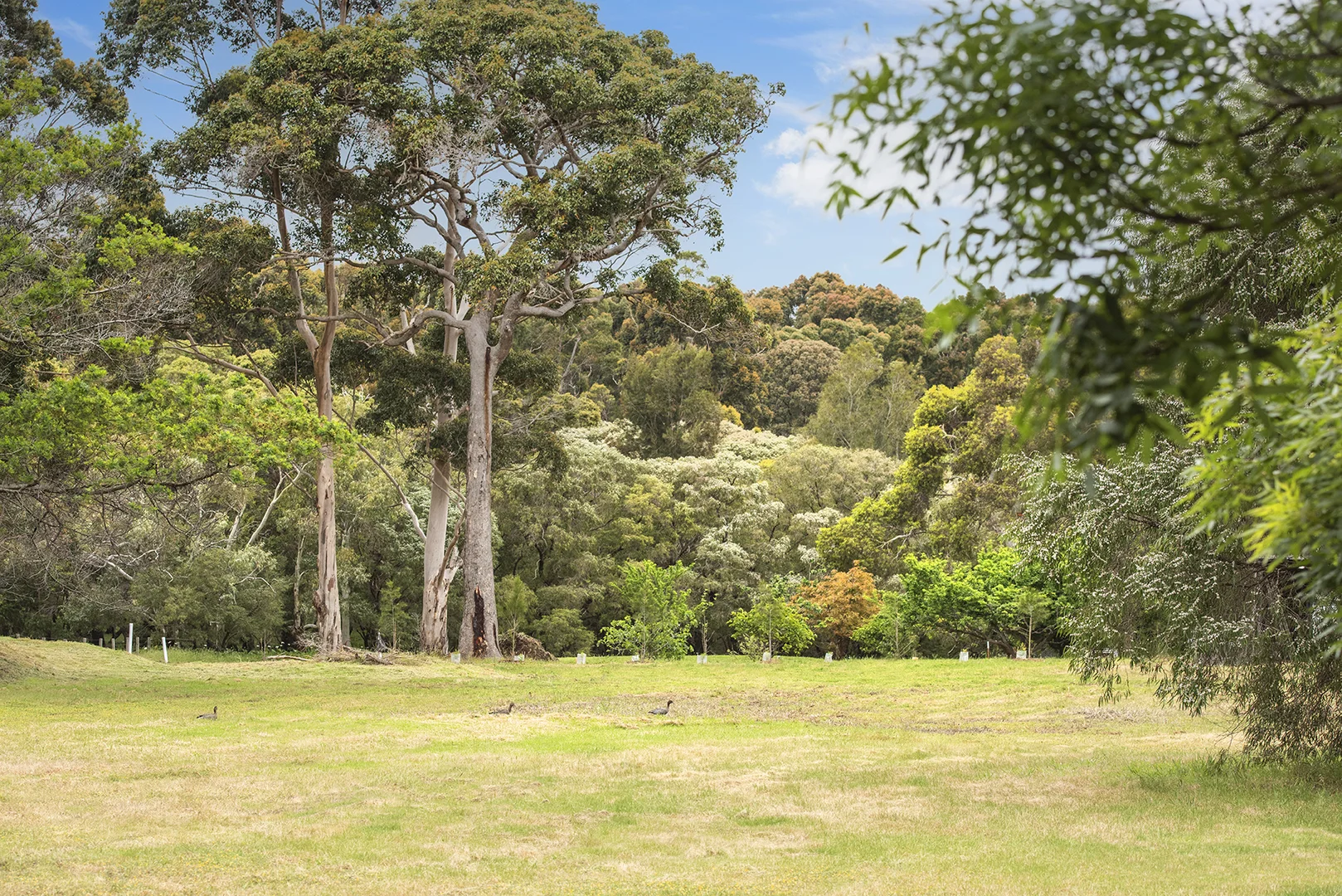 Additional image 5 of PL 241/29 Eucalyptus Court, Margaret River WA 6285