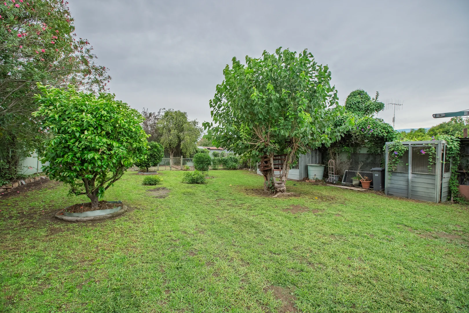 Additional image 12 of 448 Ainslie Avenue, Lavington NSW 2641
