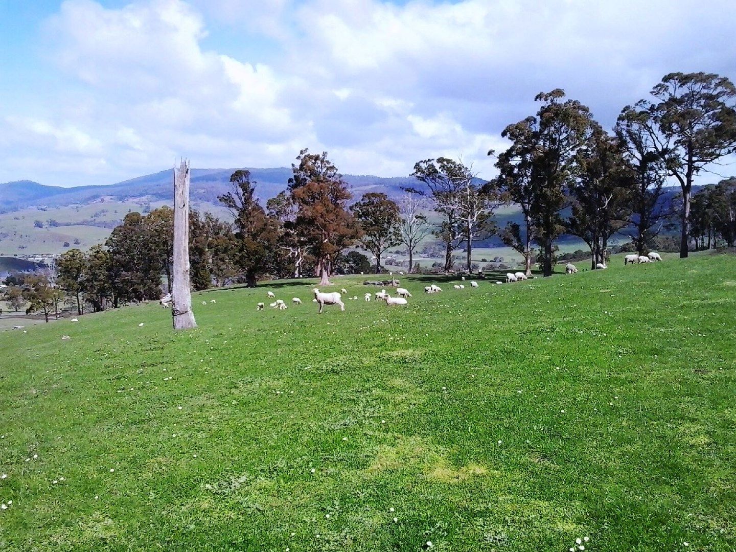 Lot 2, 313 Rhyndaston Road, Rhyndaston TAS 7120, Image 0