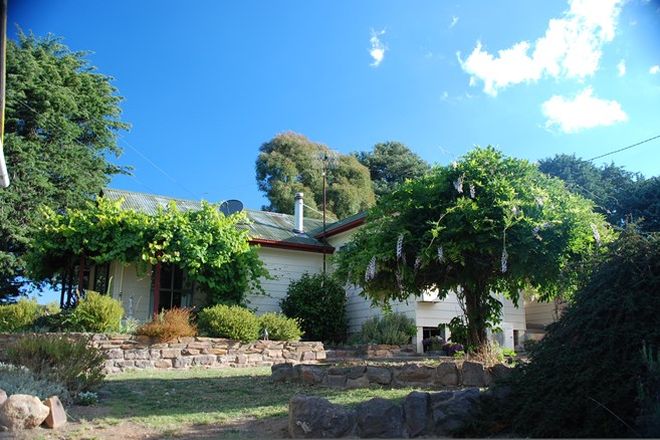 Picture of 16 Delegate Road, BOMBALA NSW 2632