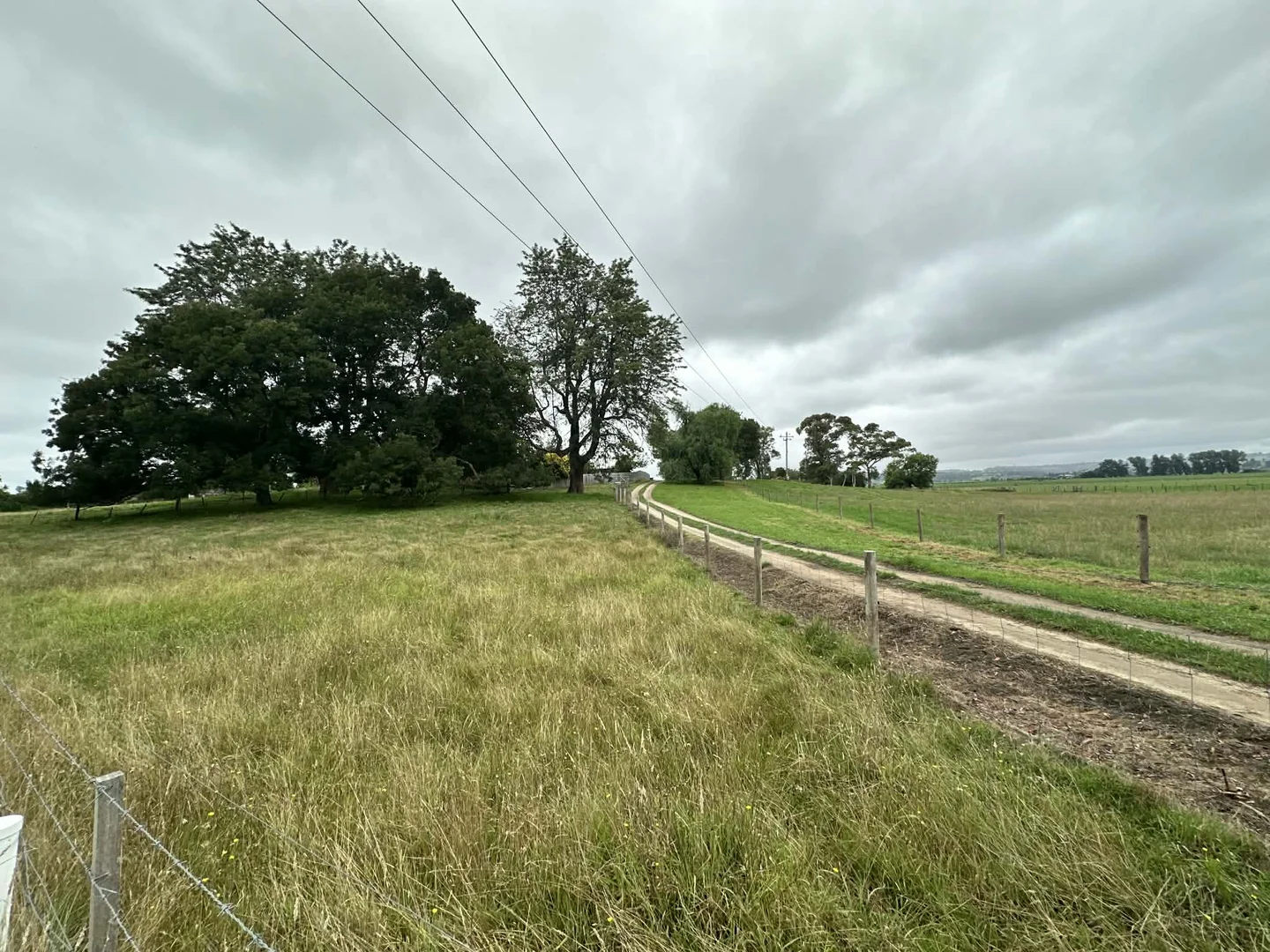 Image 17