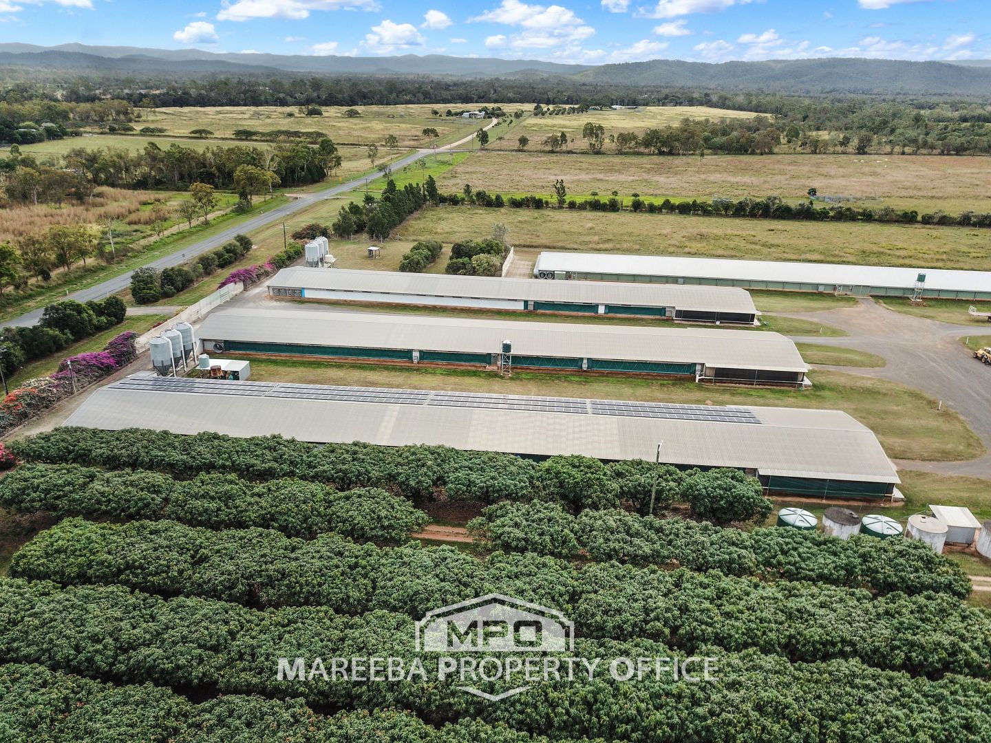 1004 Bilwon Road, Biboohra QLD 4880, Image 1