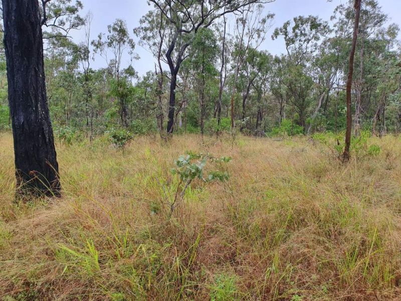 Millstream QLD 4888, Image 2