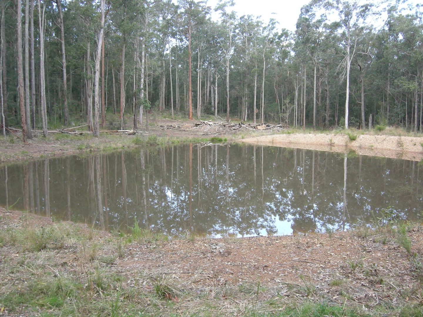 Nabiac NSW 2312, Image 2