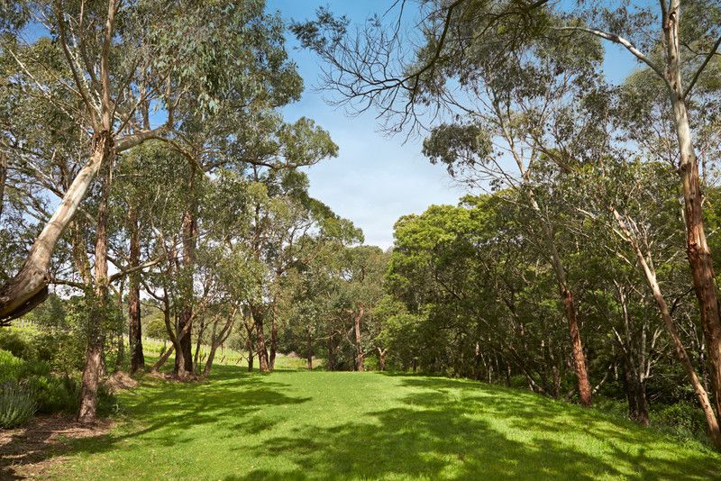 232 Red Hill Road, Red Hill VIC 3937, Image 2