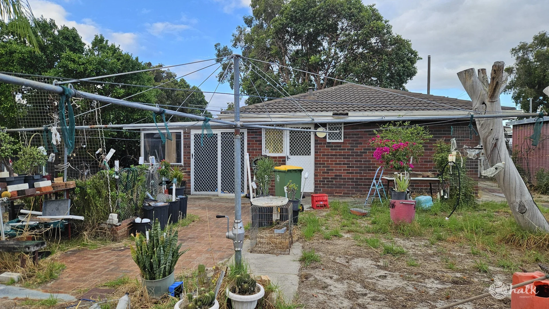 Image 20