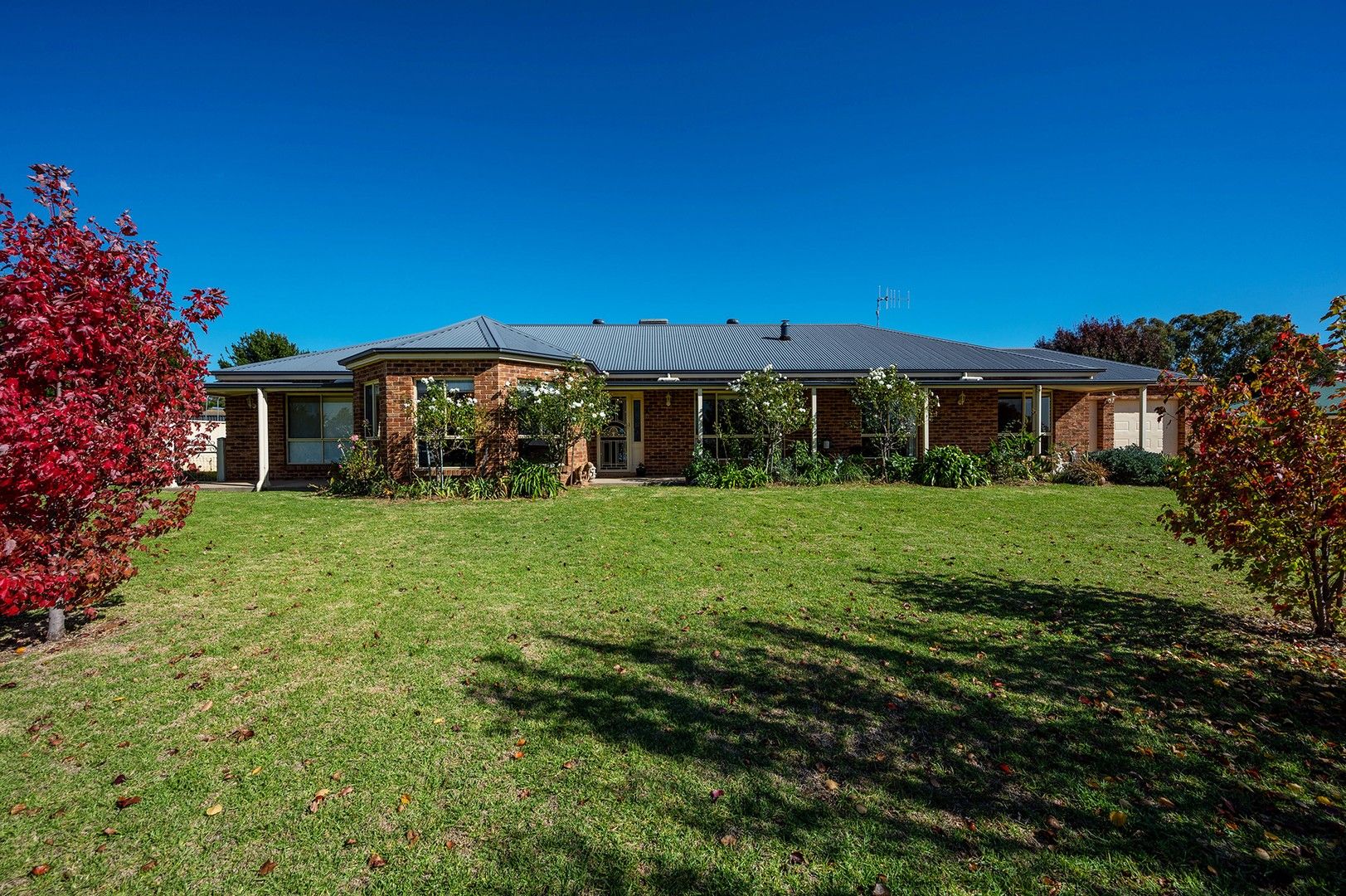 12 James Street, Gulgong NSW 2852, Image 1