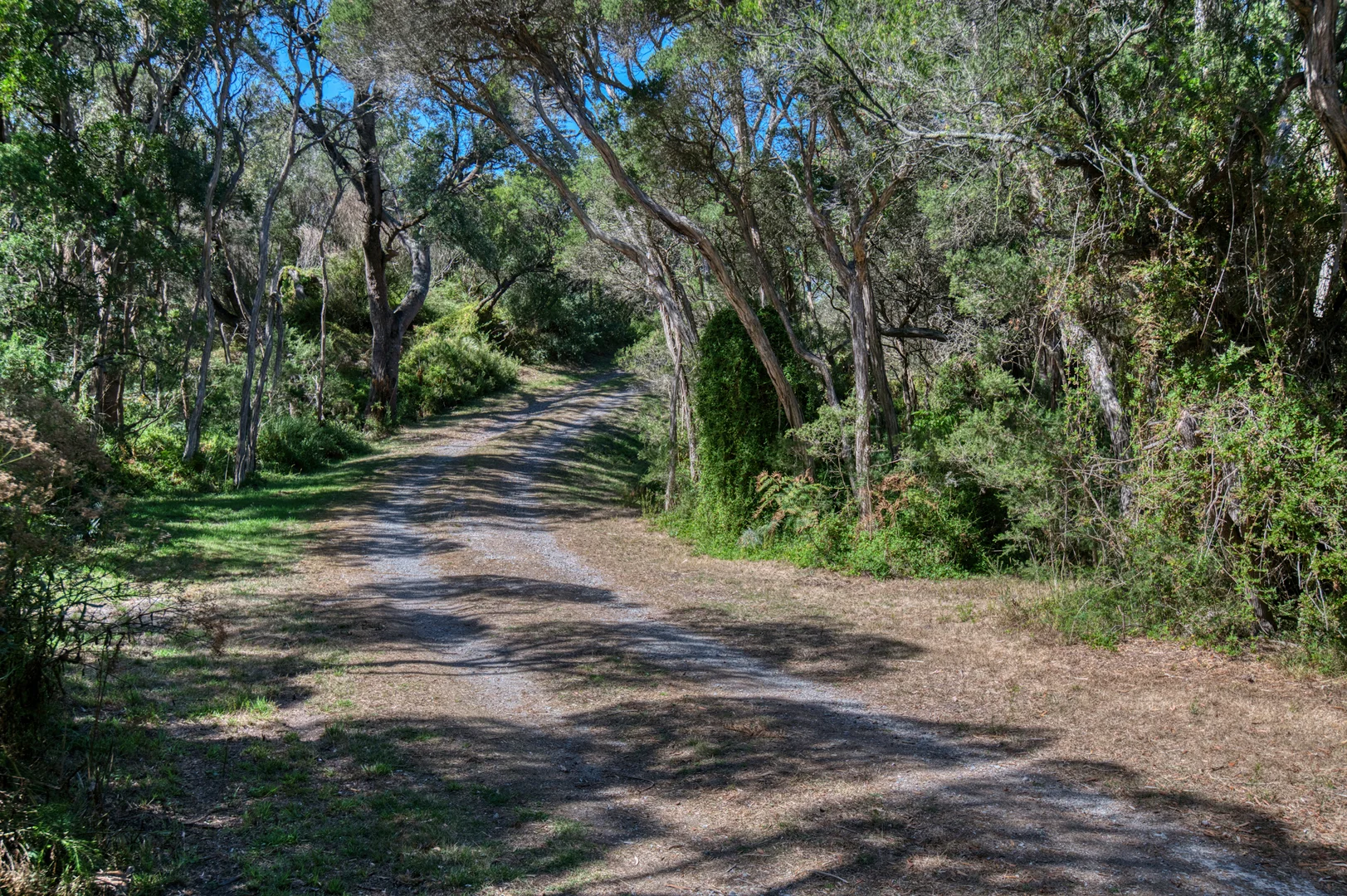 Additional image 10 of 800 Lees Rd, Venus Bay VIC 3956