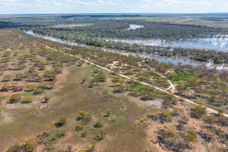 Lot 11 Goyder Highway, Markaranka SA 5330, Image 1