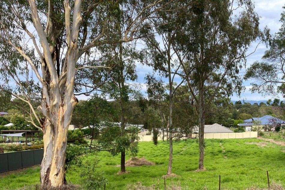 Vacant land in , BURPENGARY QLD, 4505