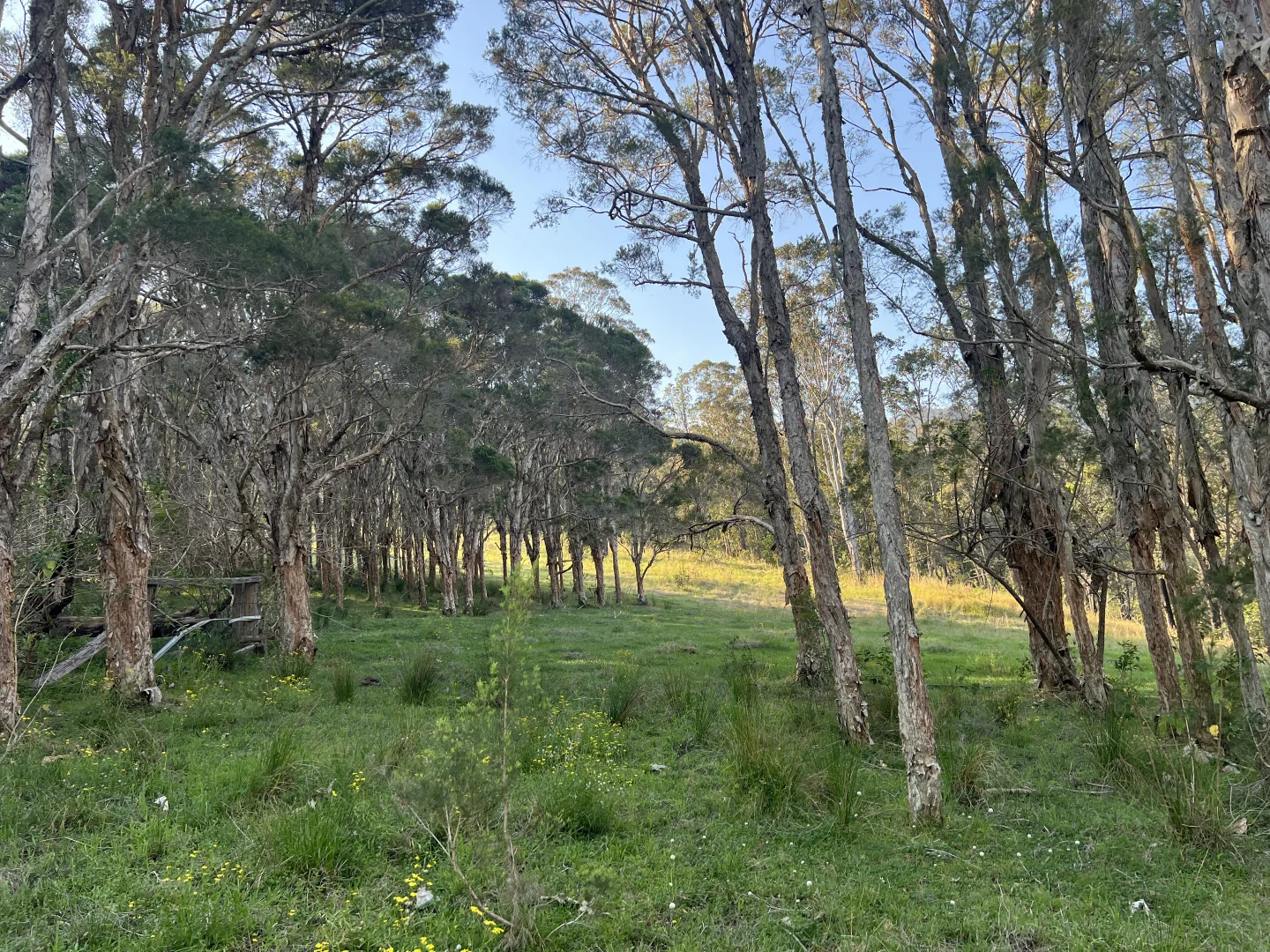 Image 10