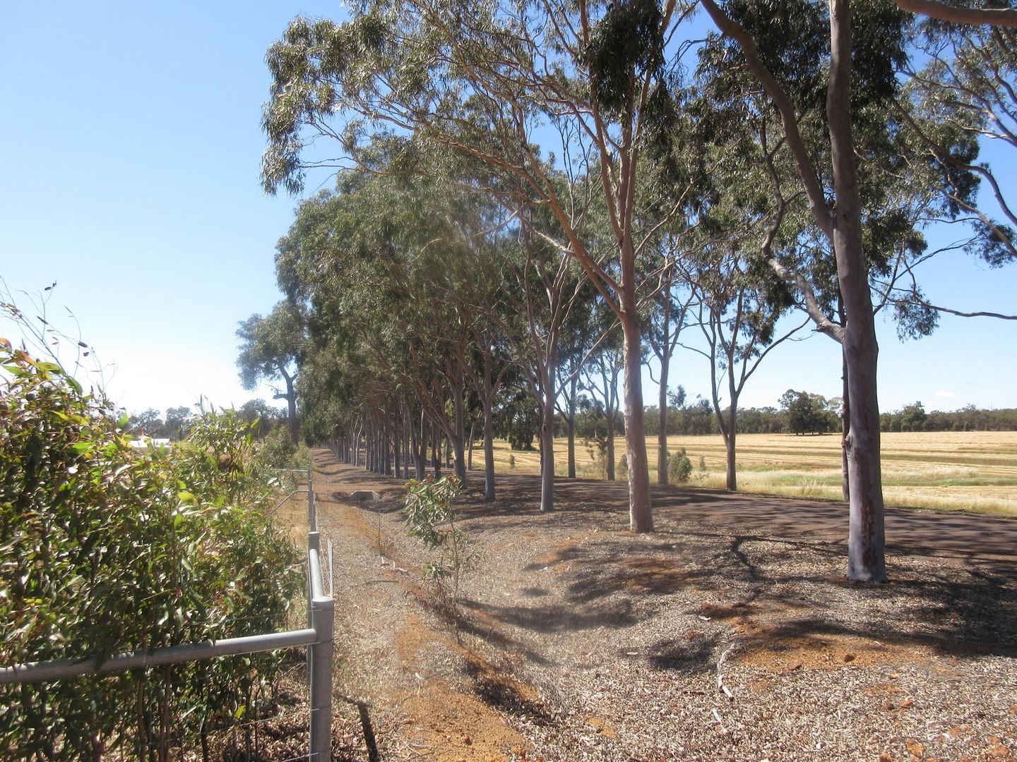 Lot 127, Wanju Drive, Wundowie WA 6560, Image 2