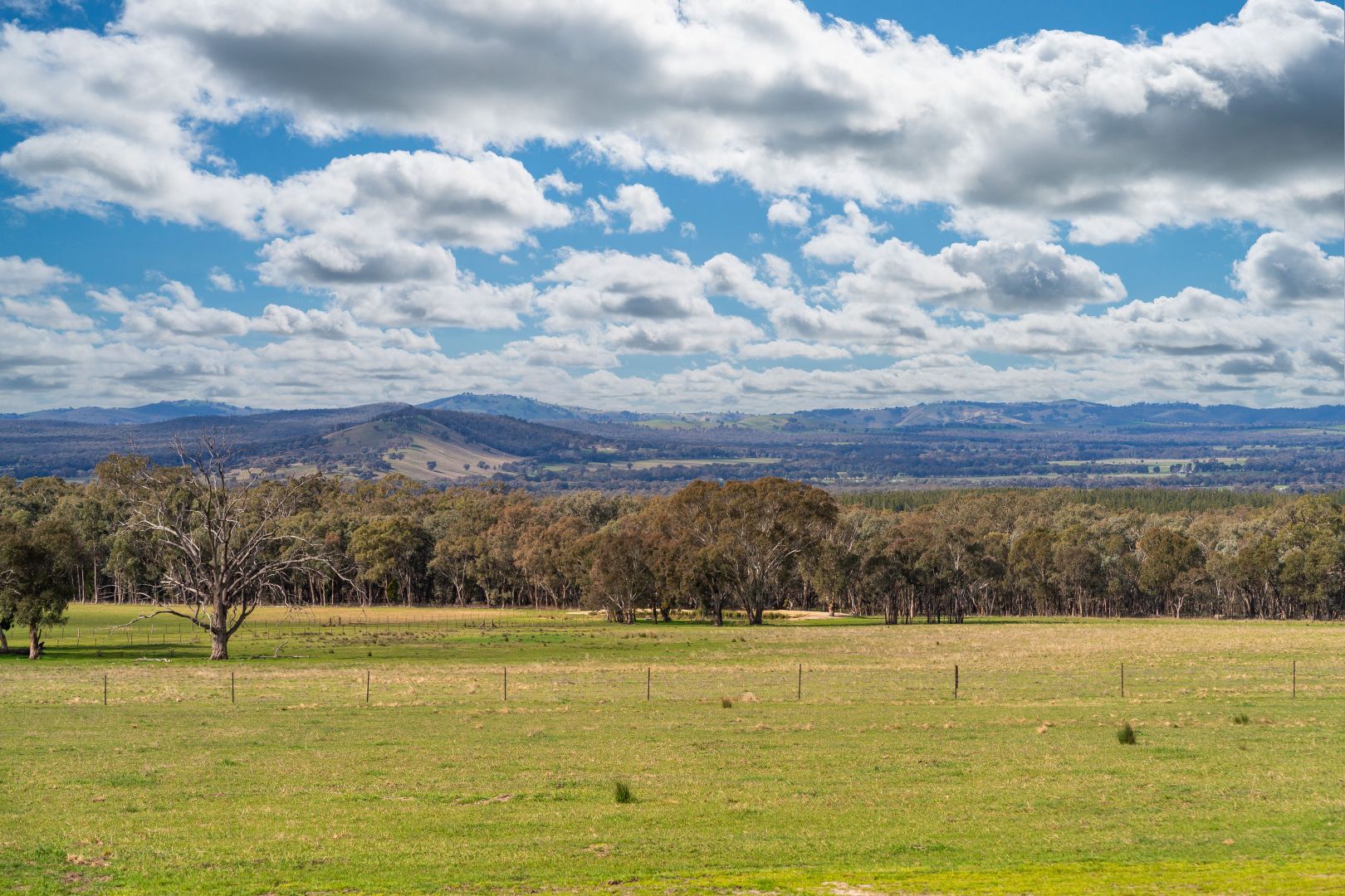 Lot 2 OLD CEMETERY ROAD, Chiltern VIC 3683, Image 2
