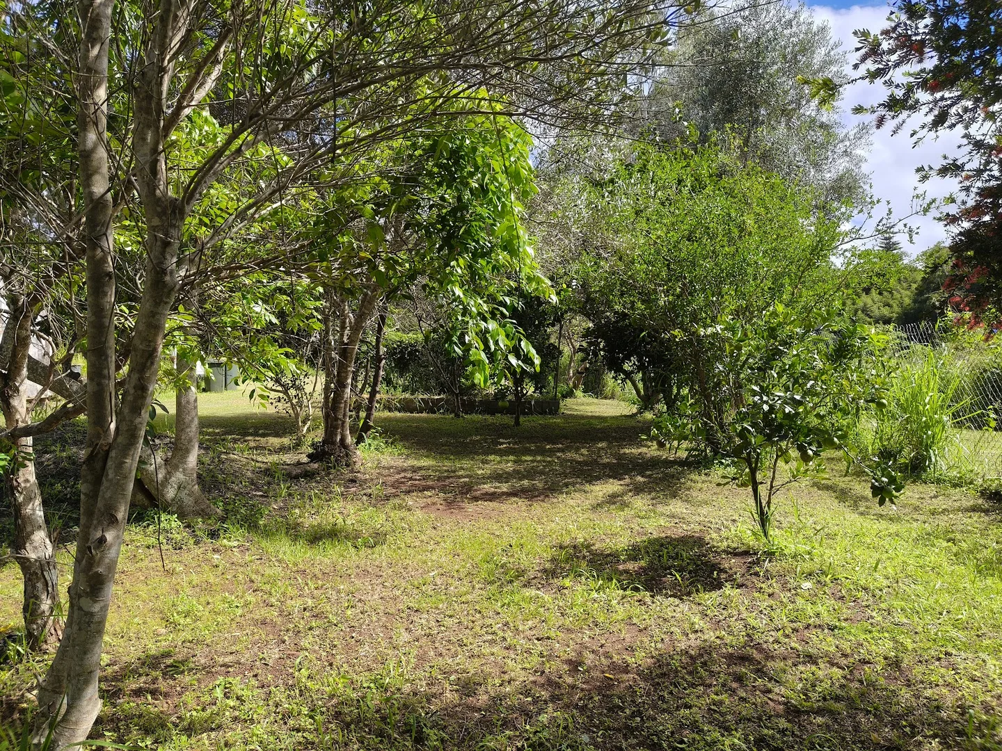 Additional image 7 of Ravenshoe QLD 4888