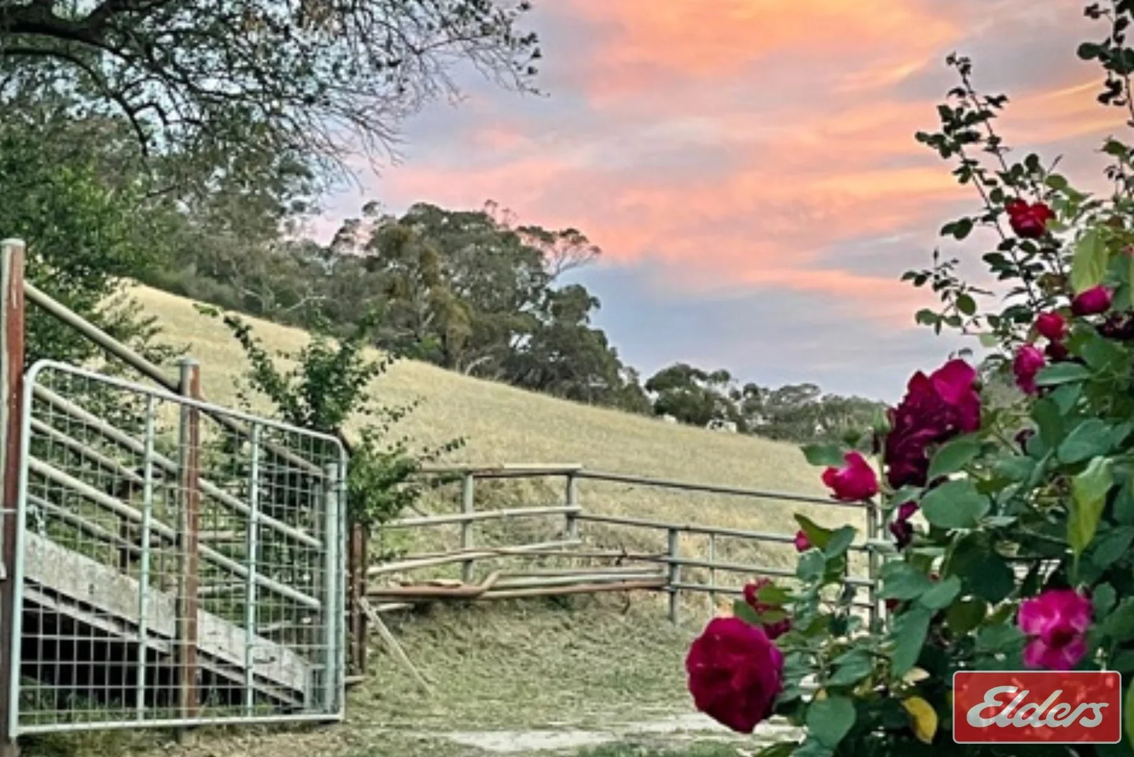 Additional image 28 of 36 Springton Road, Williamstown SA 5351