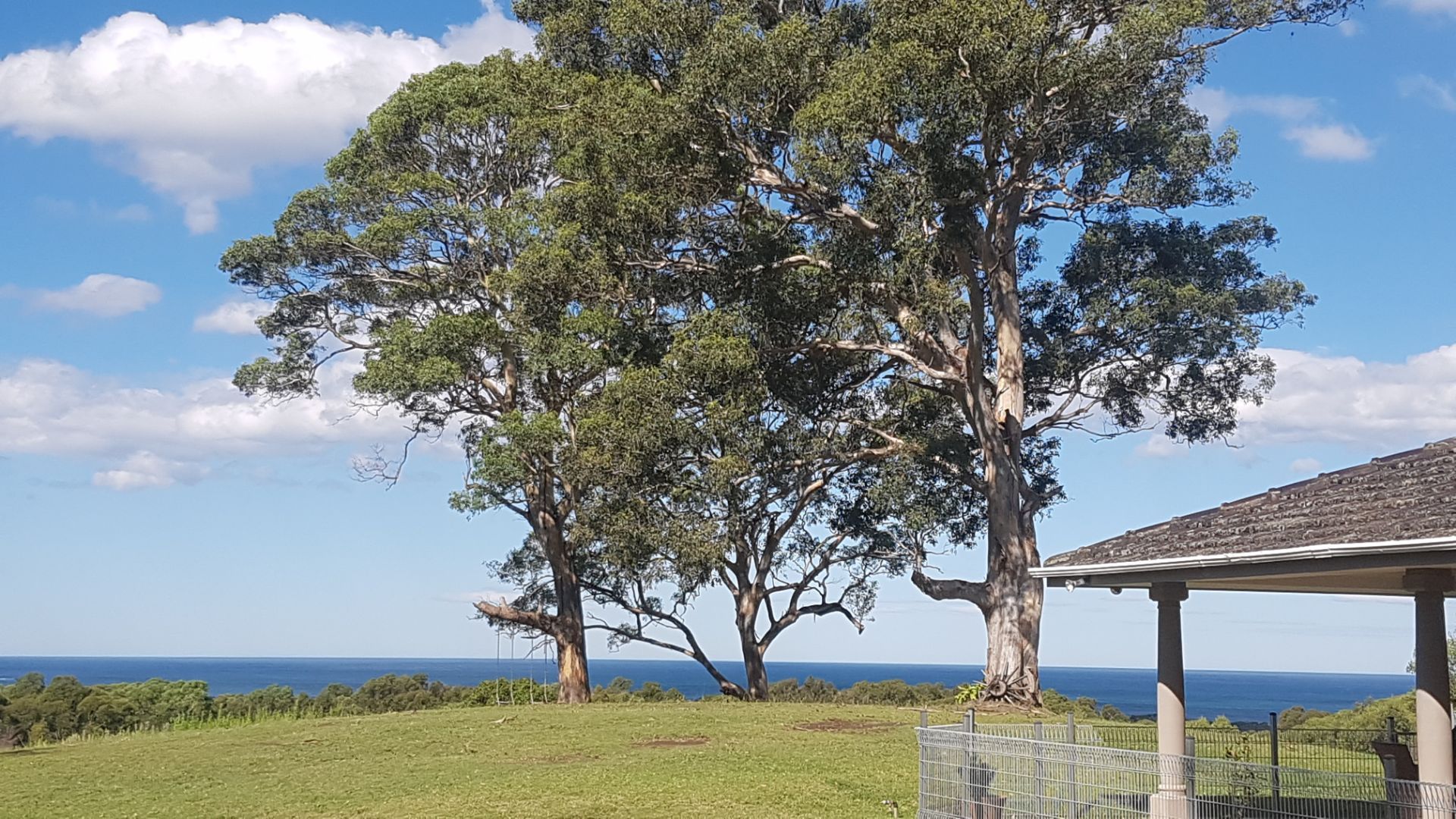 63 Bundle Hill Road, Bawley Point NSW 2539, Image 1
