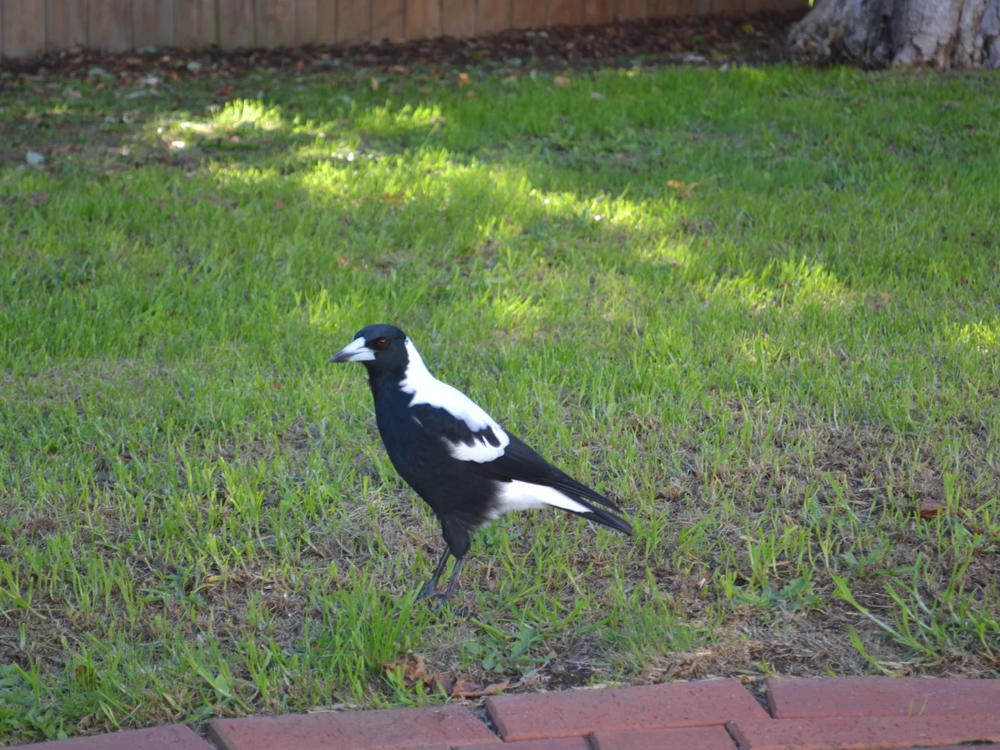 Additional image 3 of 28 Pettit Street, Warragul VIC 3820