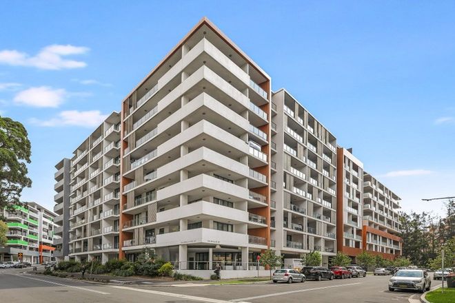 Picture of 203/2A Willis Street, WOLLI CREEK NSW 2205