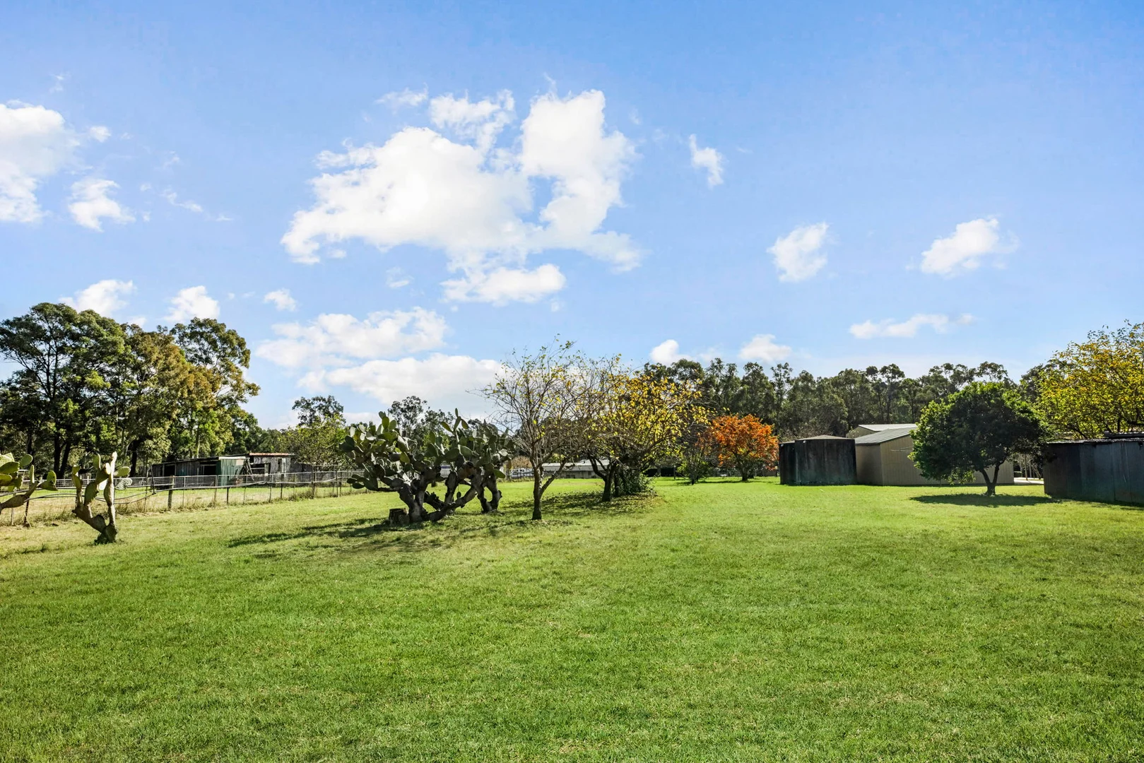 Image 22