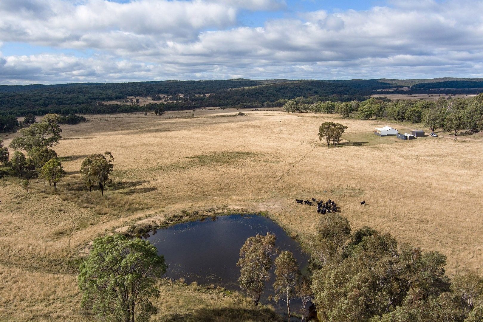 962 Blue Springs Road, Gulgong NSW 2852, Image 0