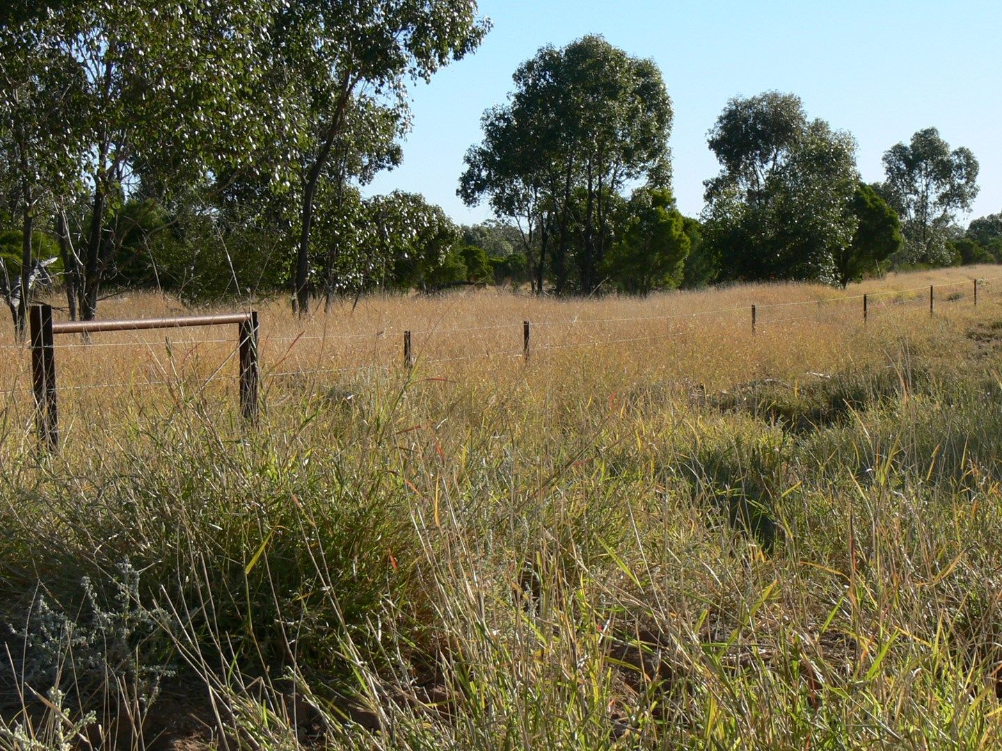 Moordale, Walgett NSW 2832 House for Sale 2.32140 Domain