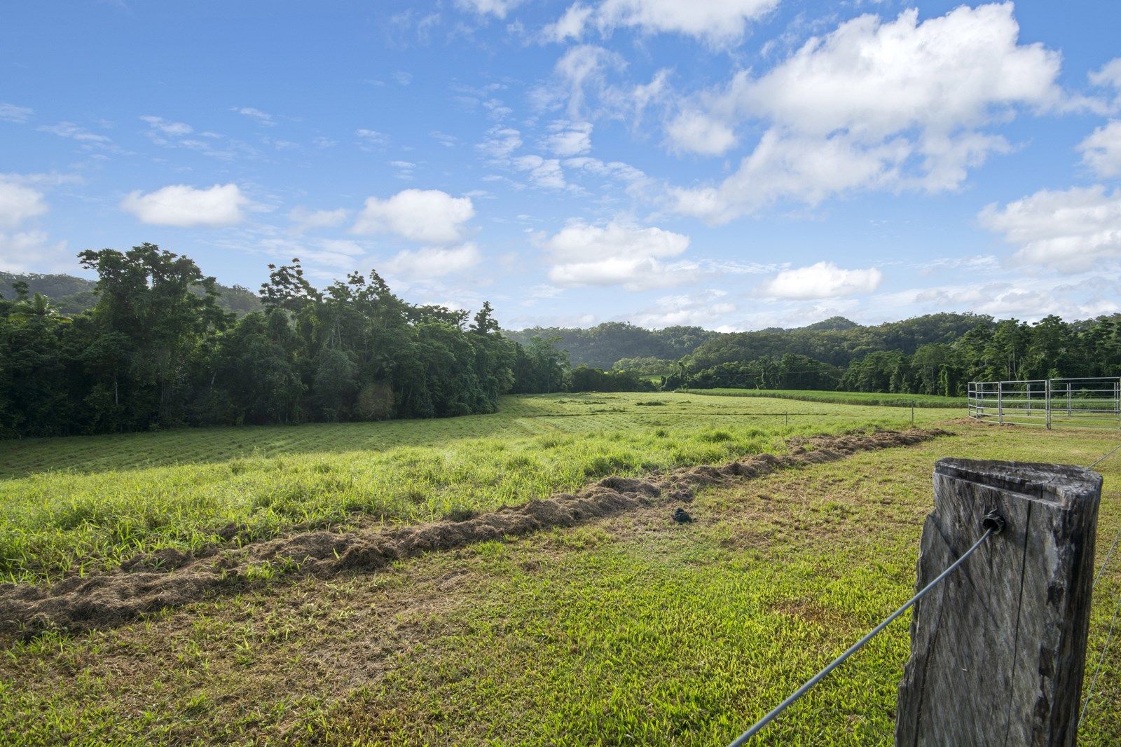 474 Syndicate Road, MIALLO QLD 4873, Image 1