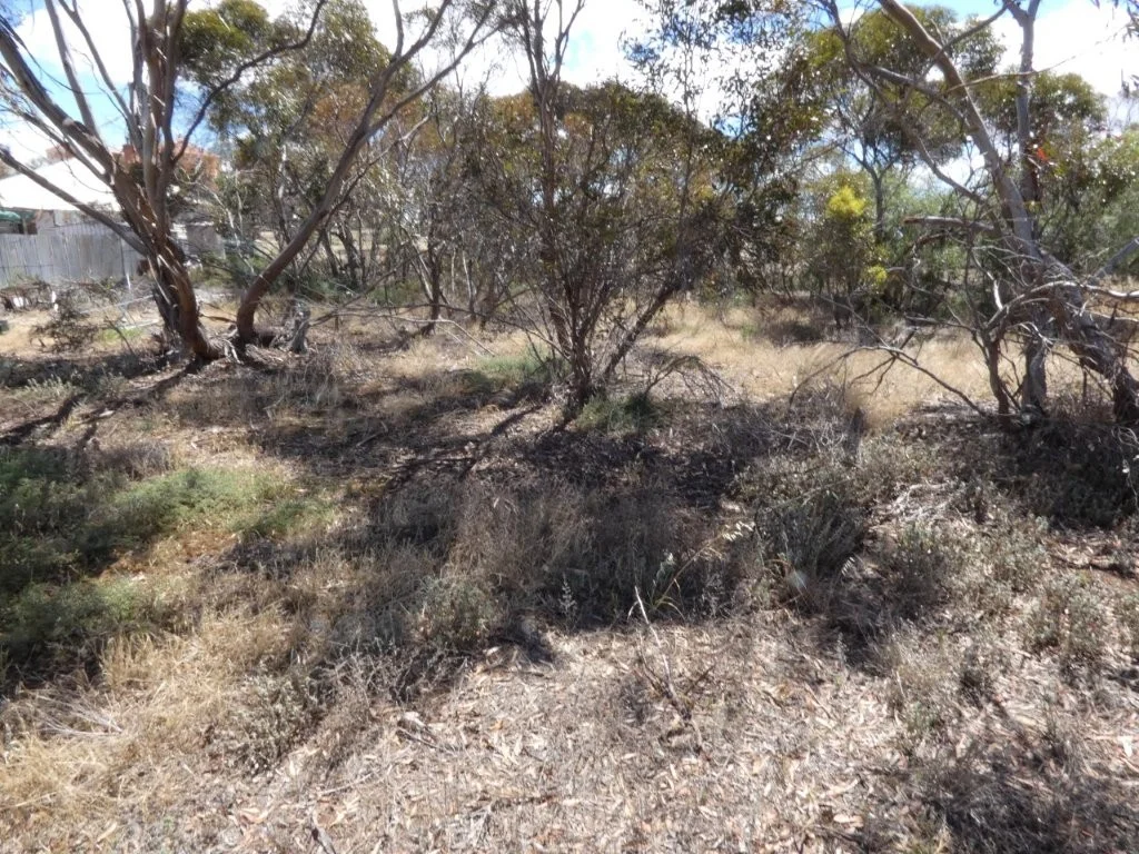 Additional image 6 of 26 Station Street, Tempy VIC 3489