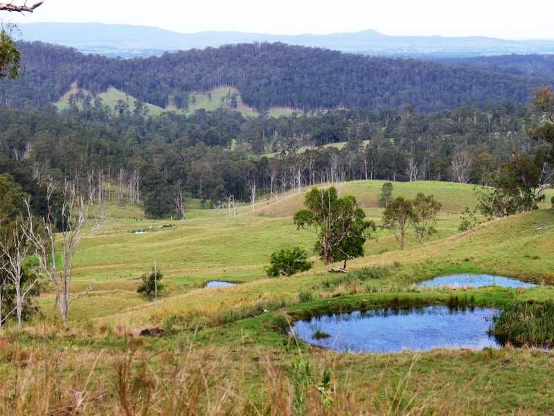 Lot 16 Babyl Creek Road, Babyl Creek NSW 2470, Image 2