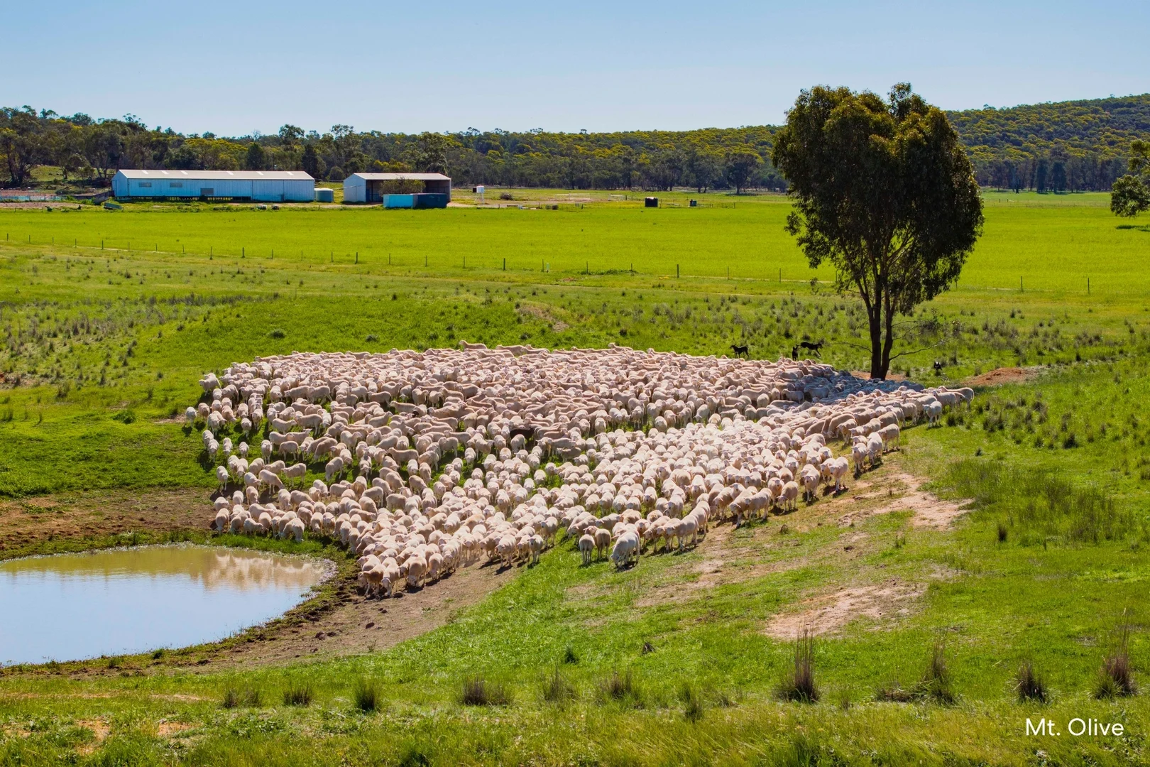 Additional image 10 of Kamarah Road, Narrandera NSW 2700