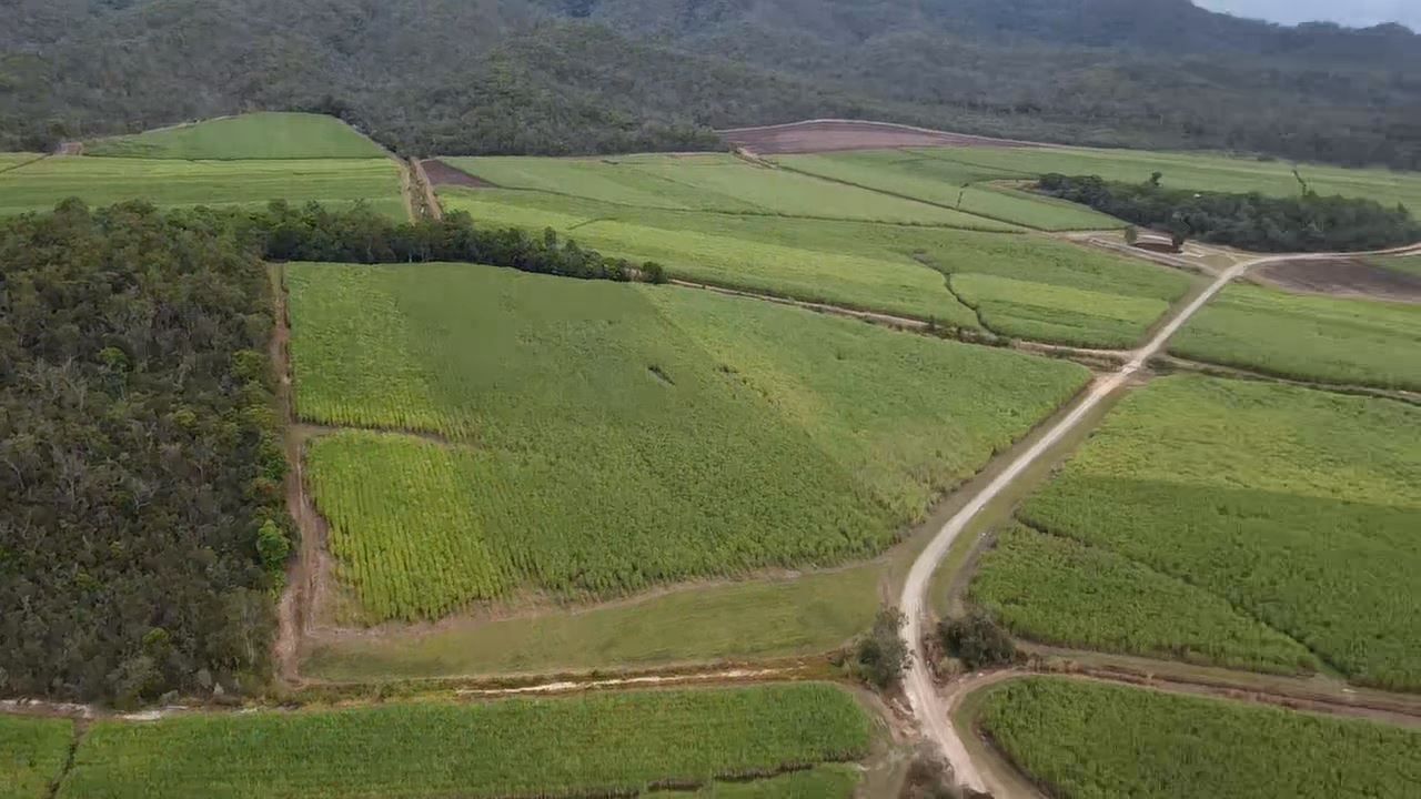 Wetherby Road Farm Wetherby Road, Julatten QLD 4871 Specialist Farm