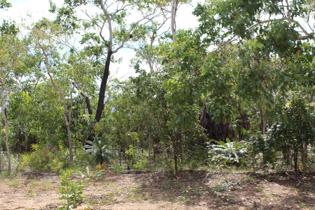 Additional image 10 of 155 Serrata Road, Dundee Downs NT 0840