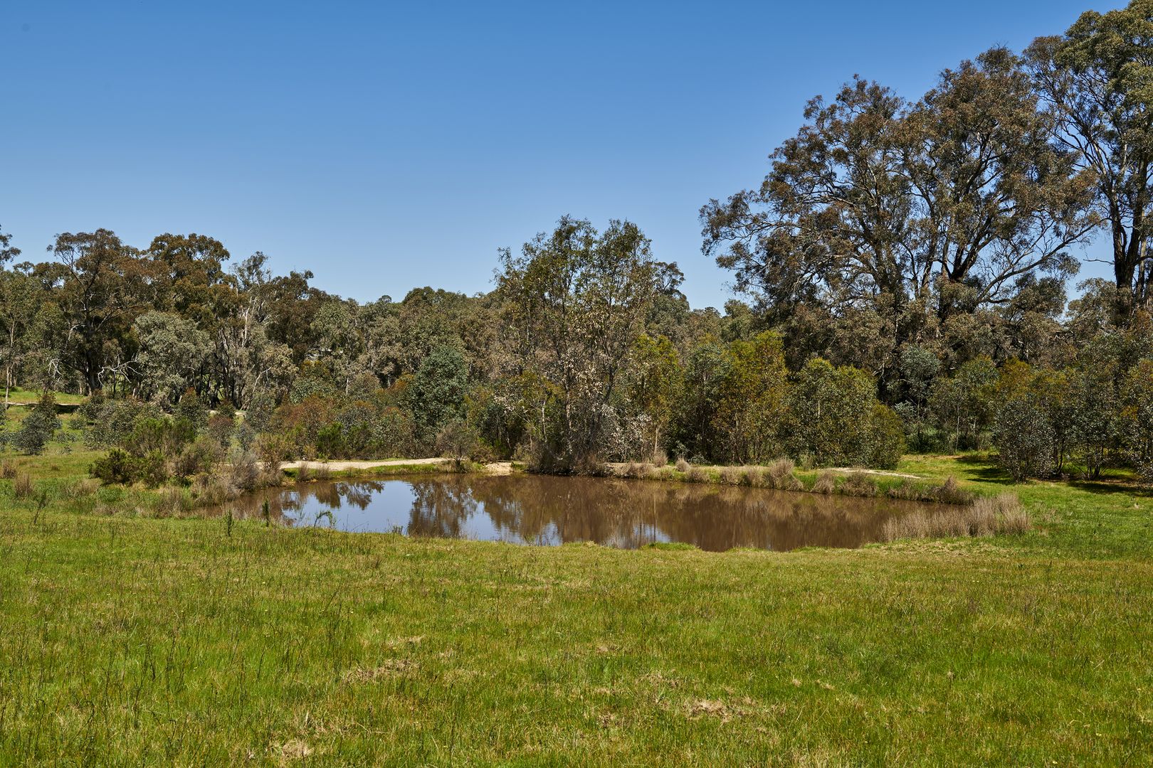 CAB15D Spring Flat Road, Heathcote VIC 3523, Image 2