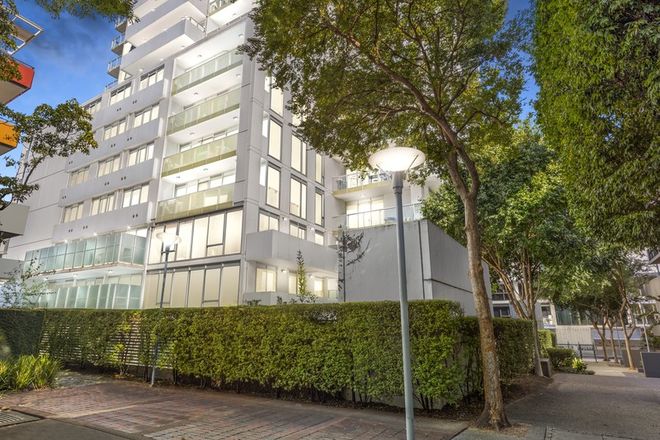 Picture of 19/77 River Street, SOUTH YARRA VIC 3141