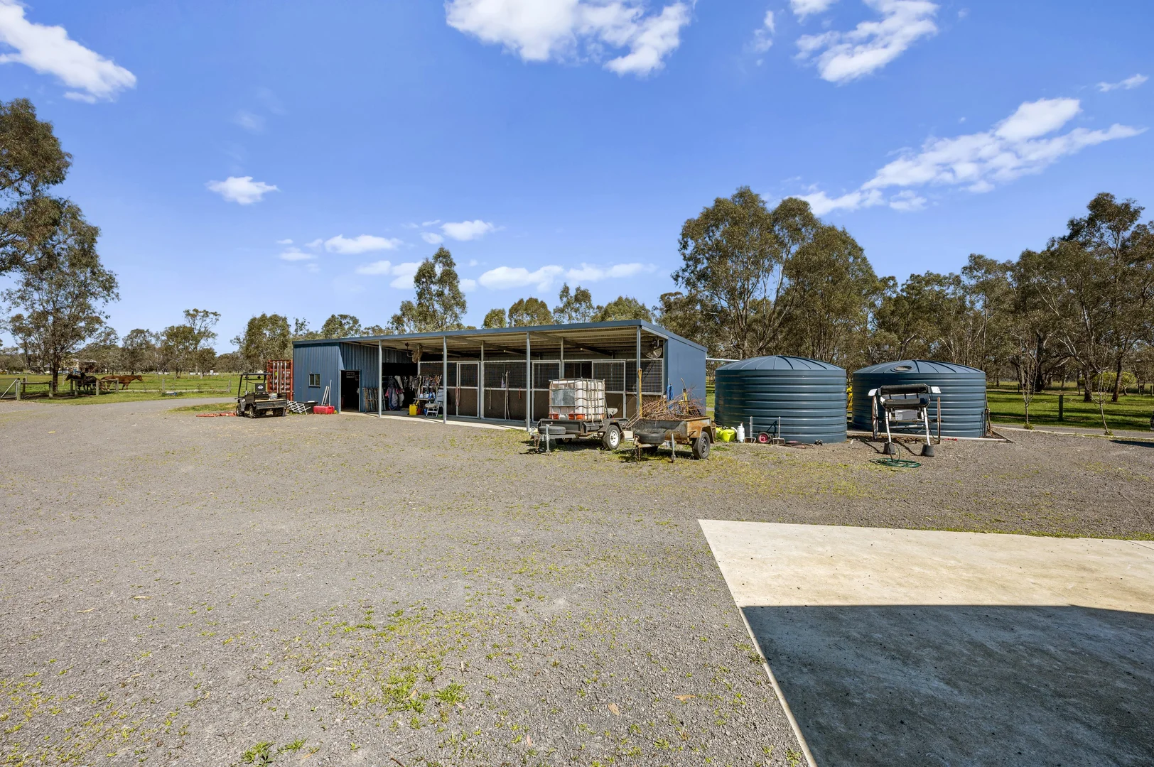 Image 15