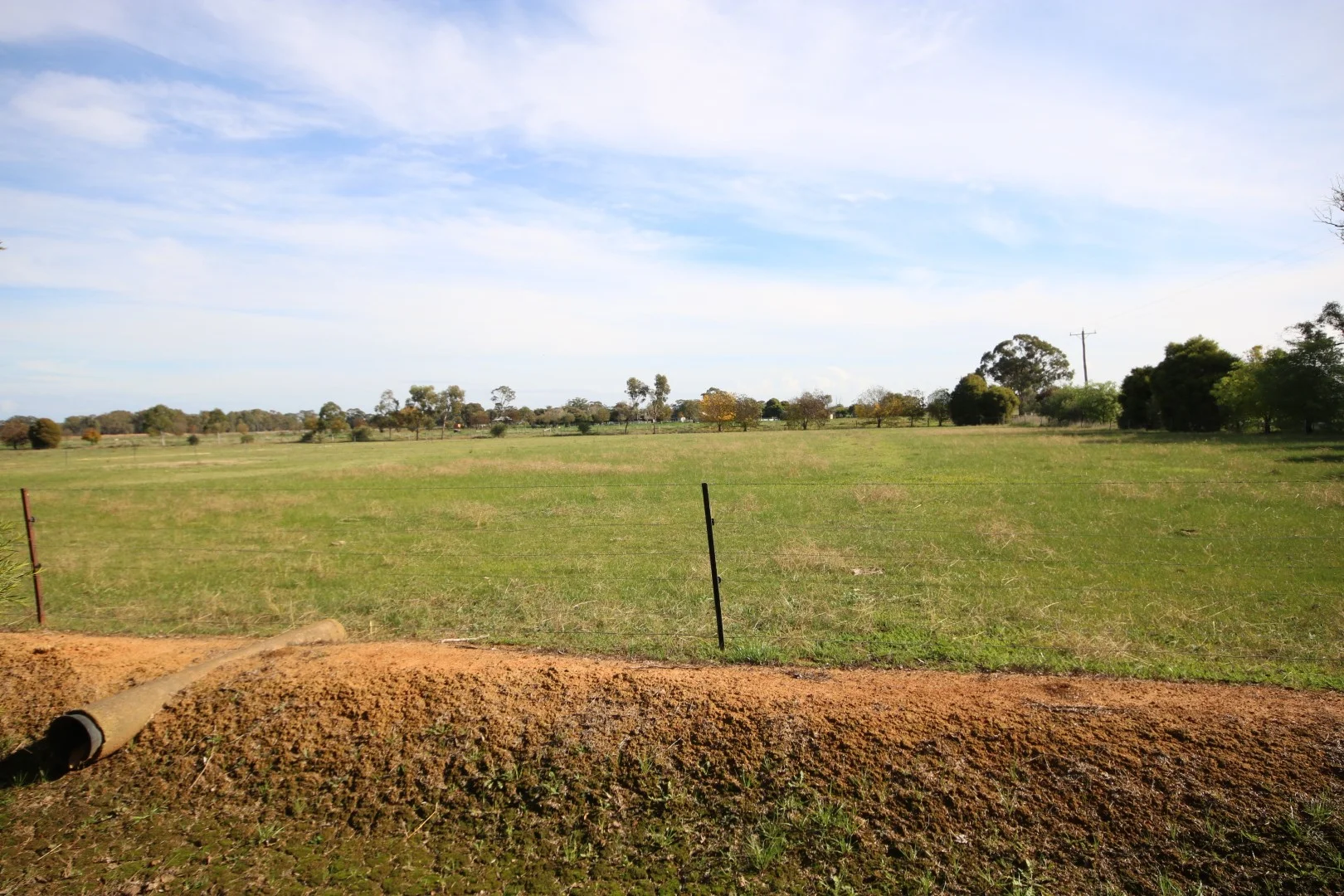 Image 25