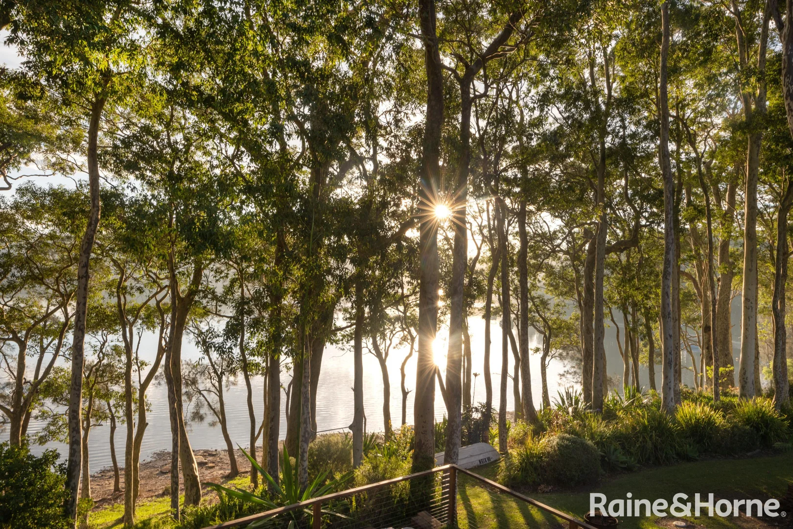Image 20