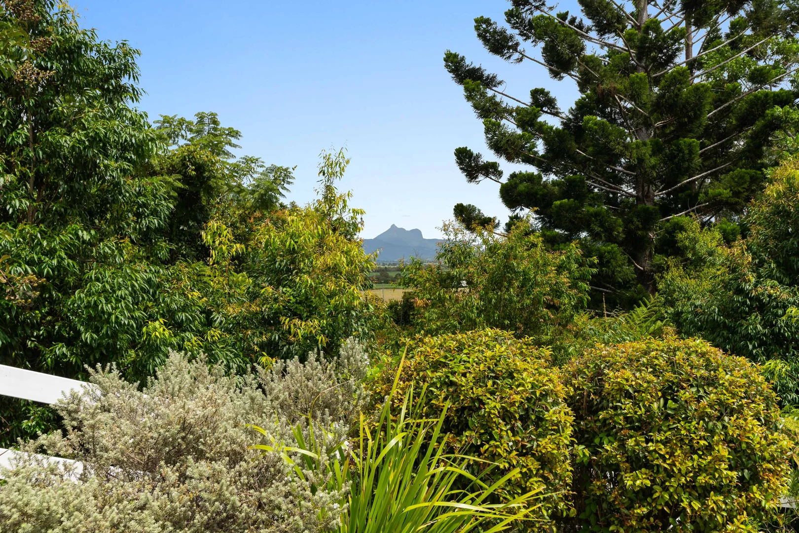 Additional image 44 of 8 Mayes Hill Road, North Tumbulgum NSW 2490