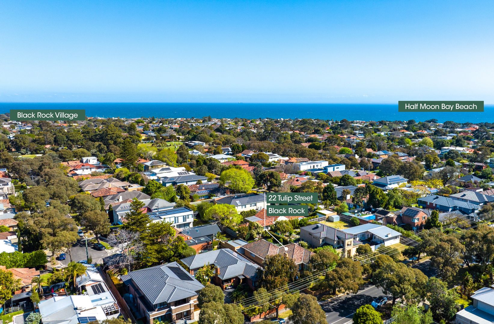 22 Tulip Street, Black Rock VIC 3193, Image 1