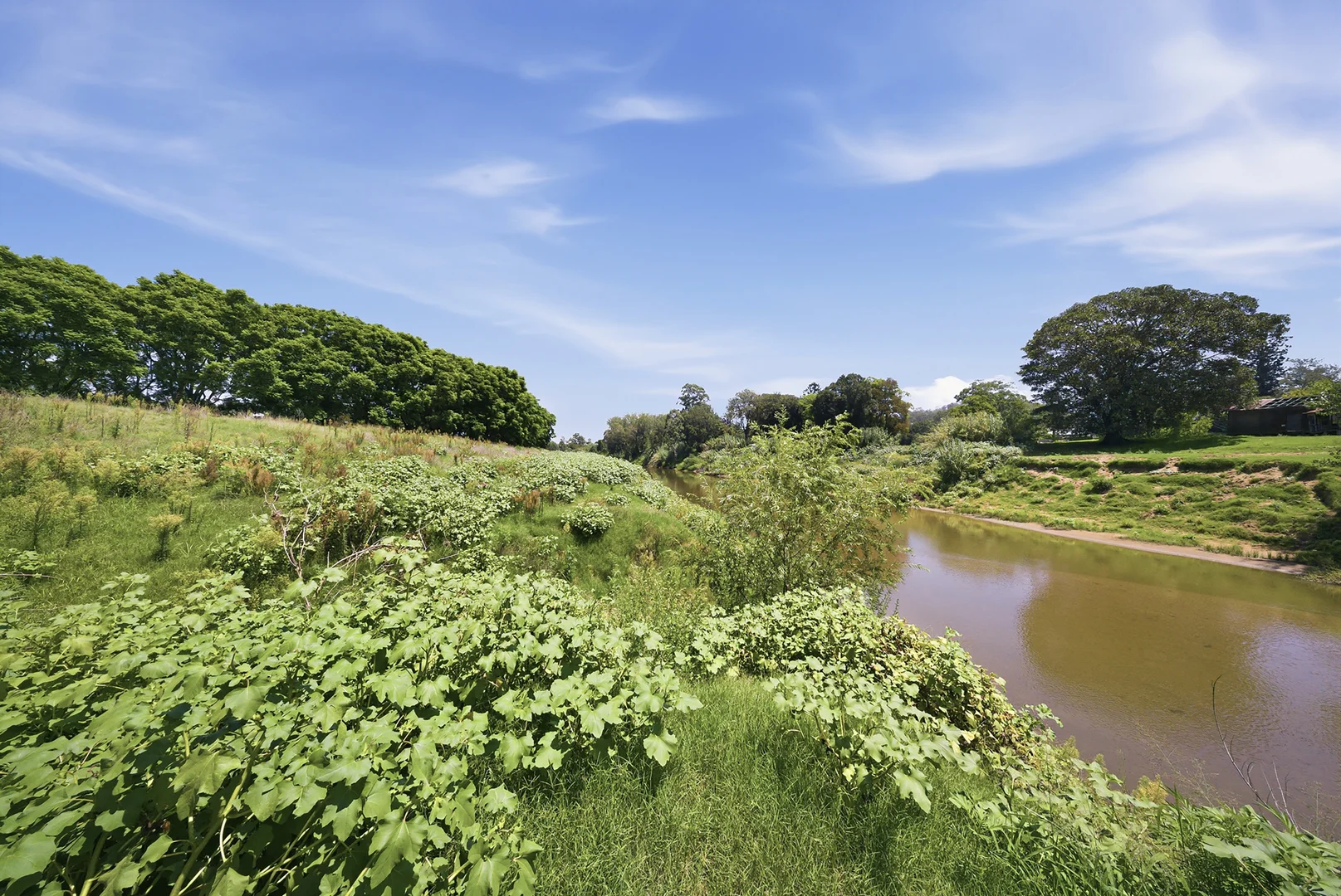 Additional image 26 of 207 Martins Creek Road, Paterson NSW 2421