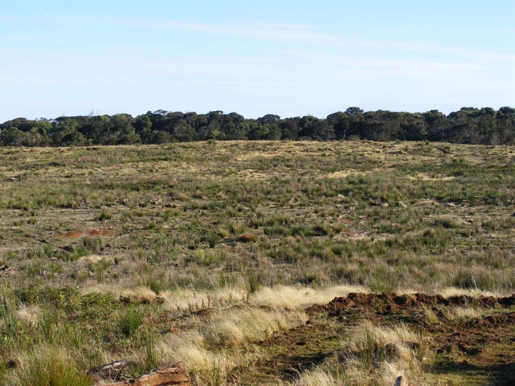 . Heemskirk Road Granville Harbour, Strahan TAS 7468 House for Sale