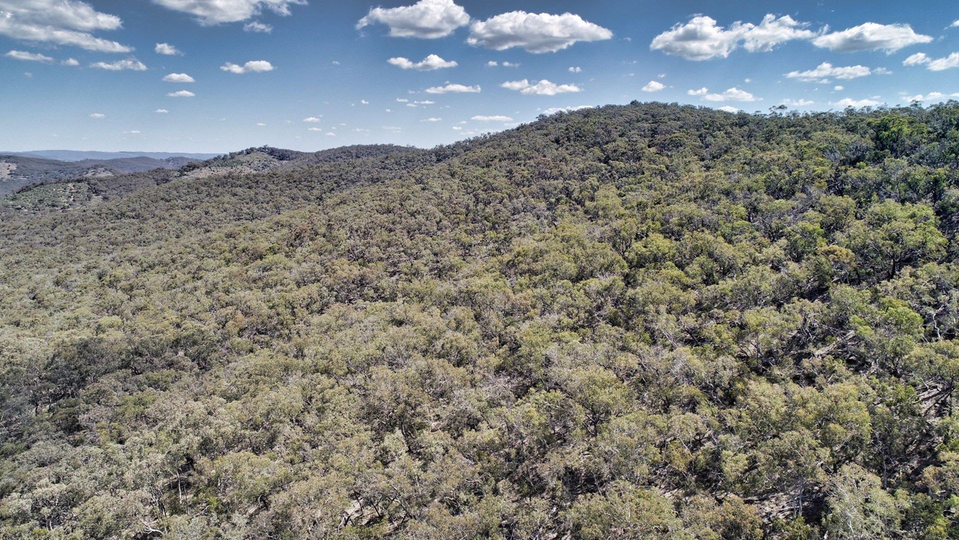 Lot 91, Part 1189 Box Ridge Road, Turondale NSW 2795, Image 1