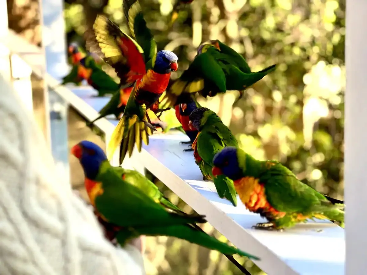 Additional image 12 of 107 Oceano Street, Copacabana NSW 2251