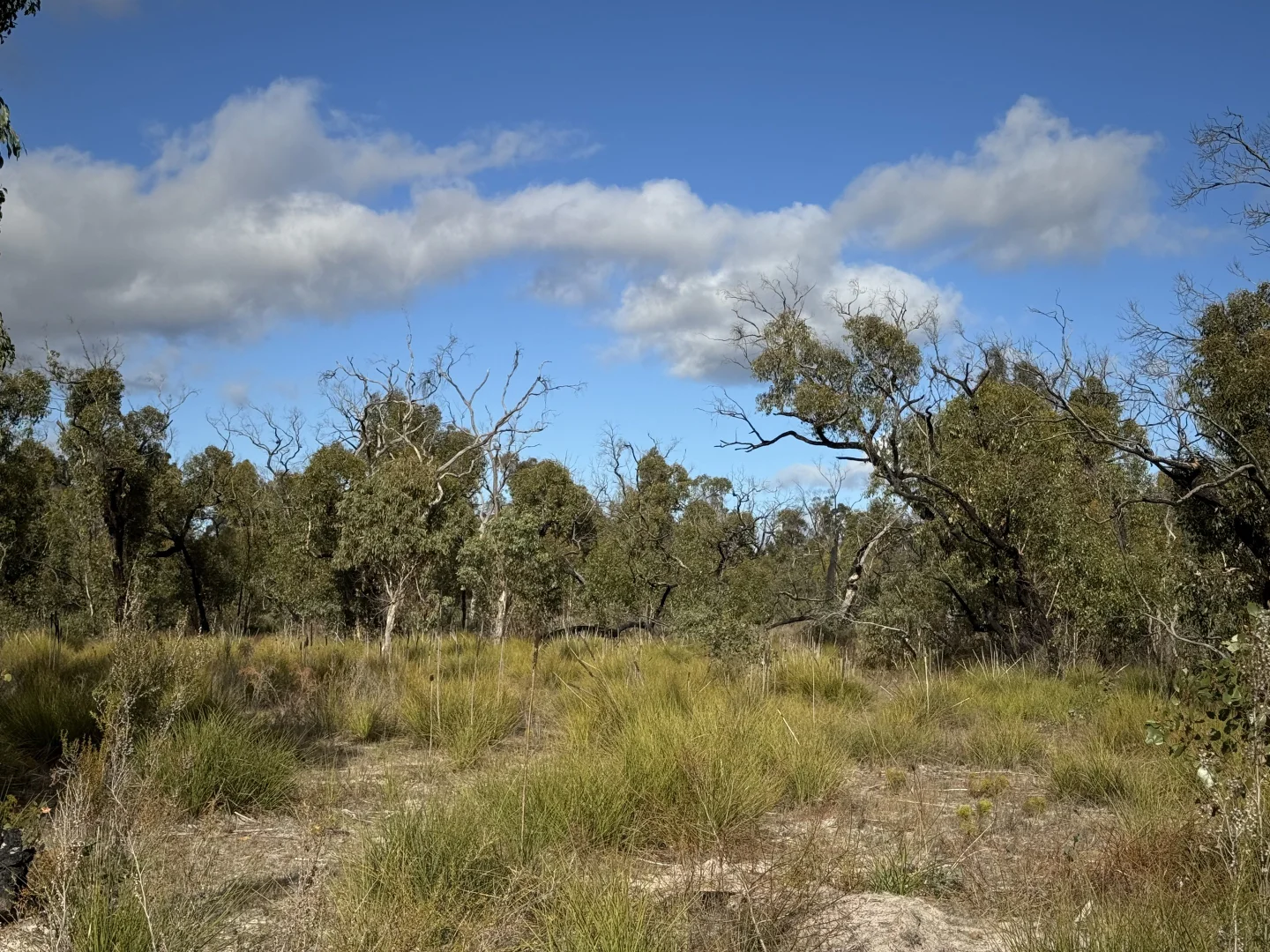 Image 14