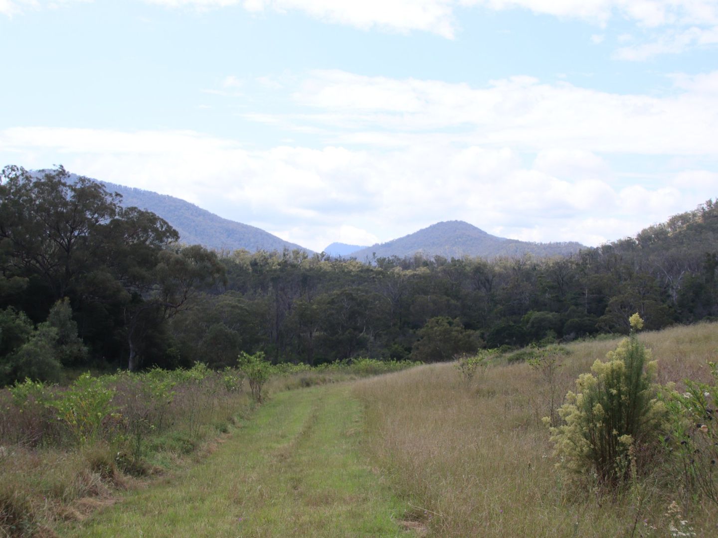 Lot 4 Dollar Bill Drive, Yangan QLD 4371, Image 1