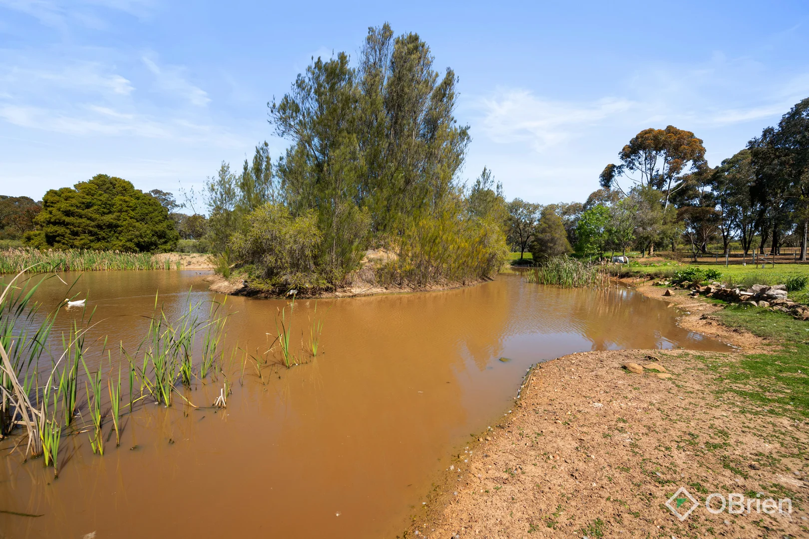 Image 32