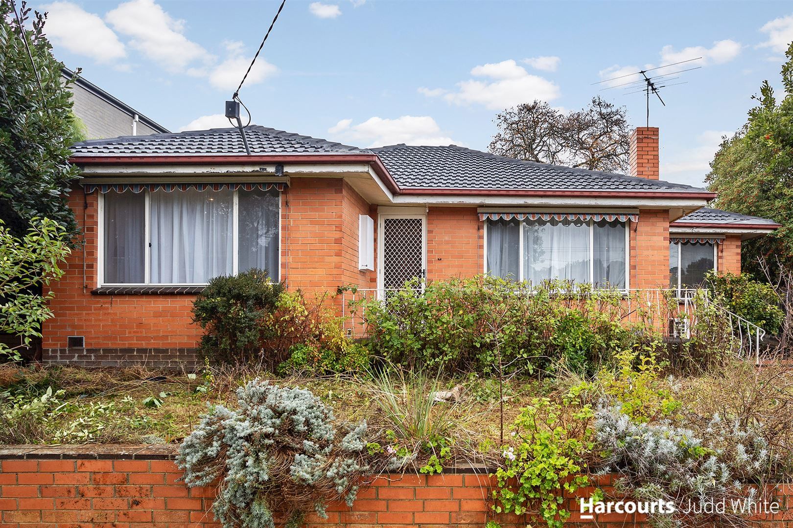 36 Smyth Street, Mount Waverley VIC 3149