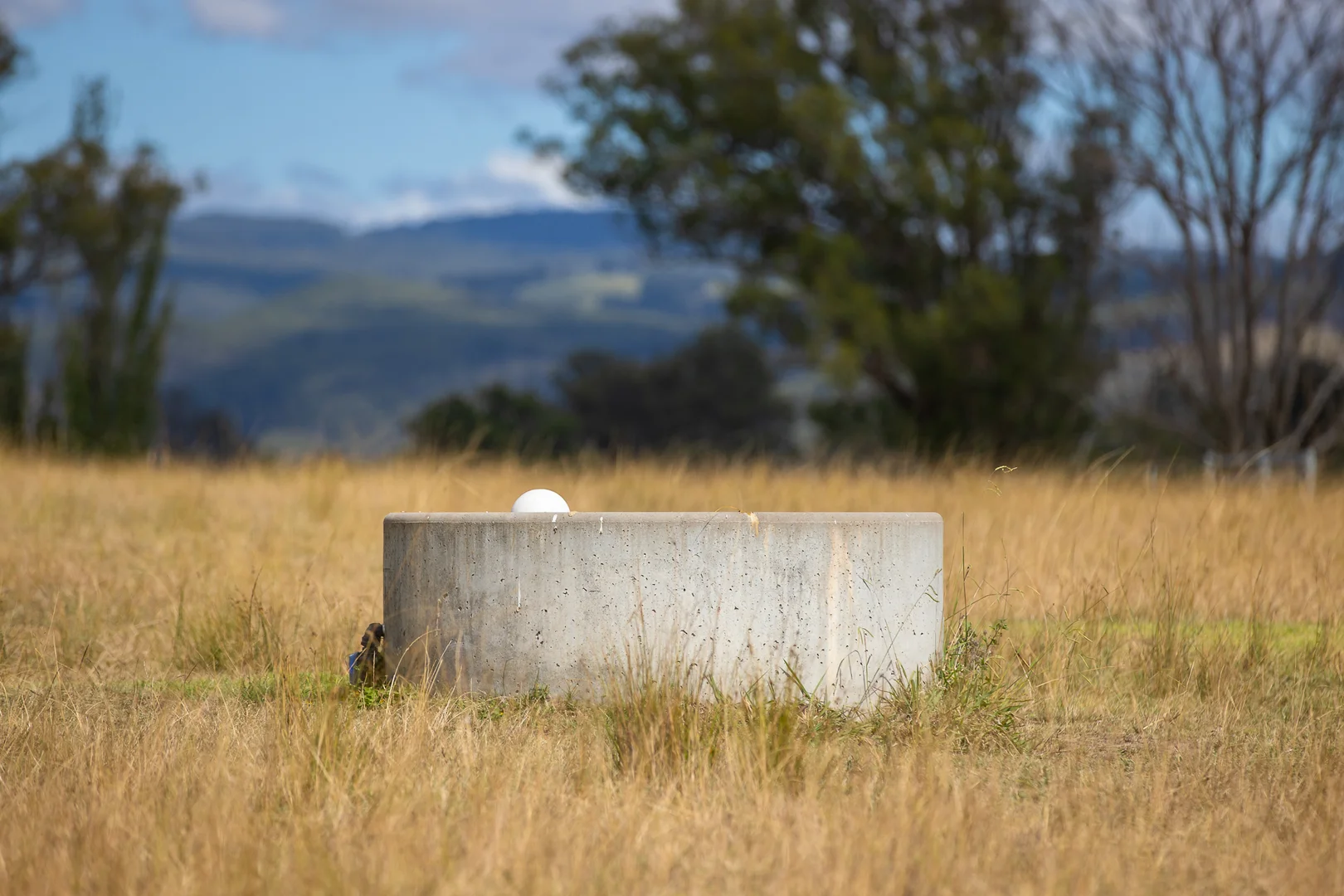 Image 36