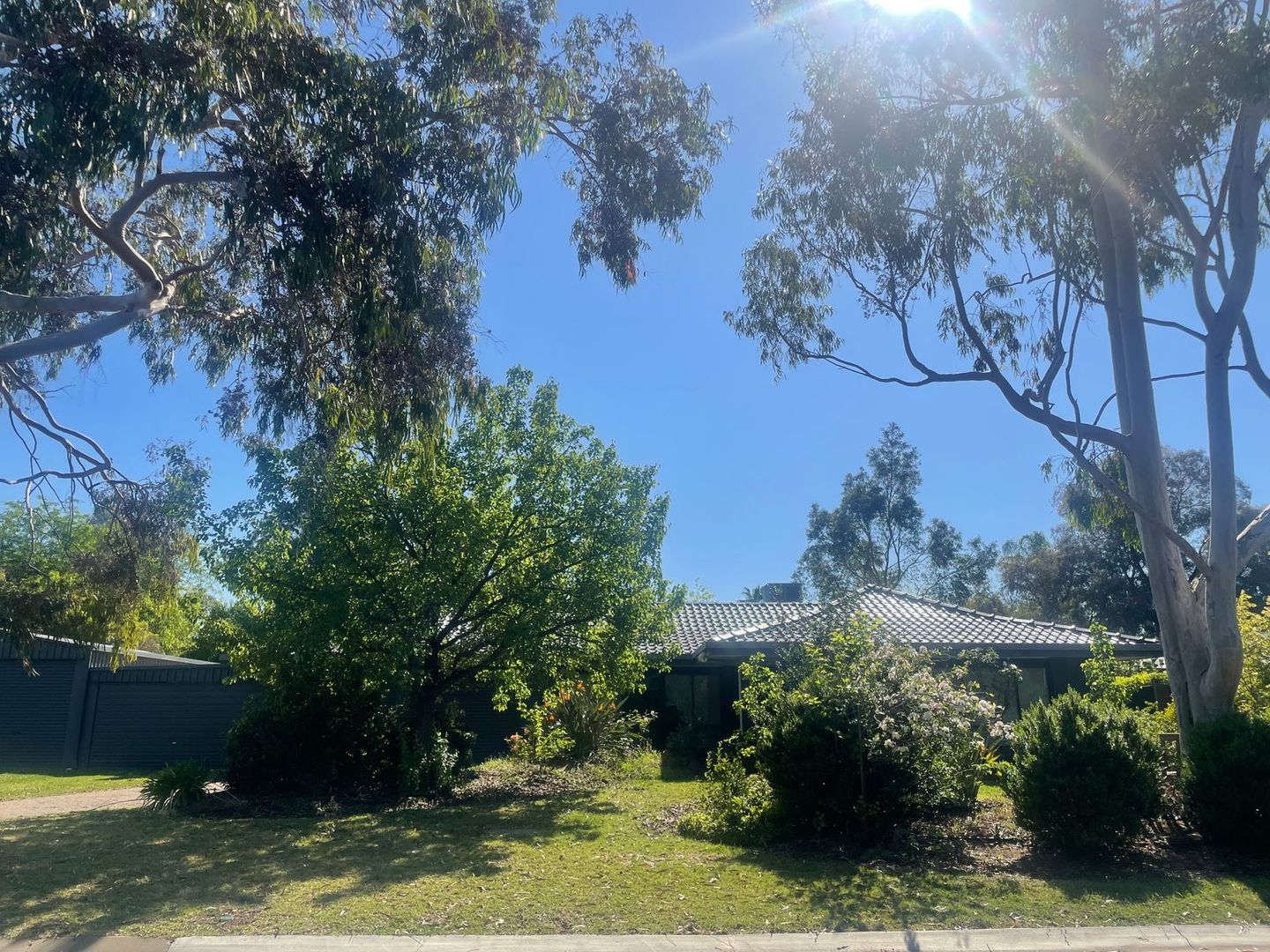 7 Walnut Court Mildura VIC 3500 House For Rent Domain